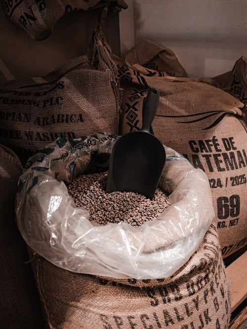 Bontekoe Blend – Italian Roast